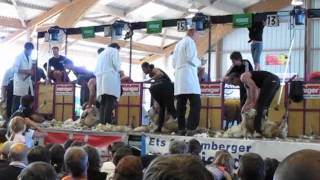 preview picture of video 'Corbigny Finale Championnat de France de tonte de moutons 2011 (Extrait)'
