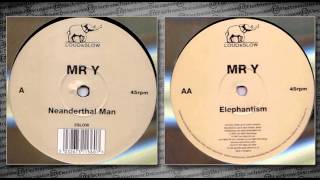 MR Y - Elephantism