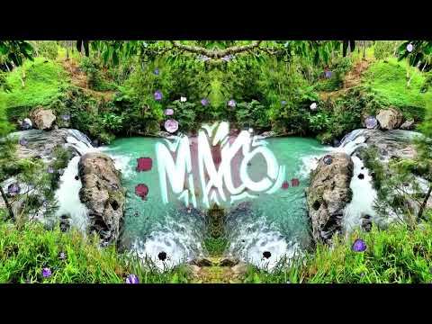 ViBz x The Week End - Blinding Lights (Zouk Remix) 2022