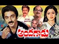 Andagadu Exclusive Telugu Full Movie Kamal Haasan Sridevi Seema V9entertainments274