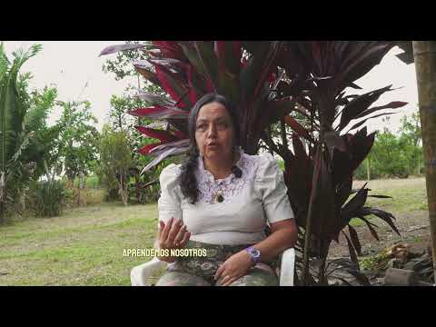 Olga Yaneth Sinisterra - Apicultora de La Tebaida Quindio