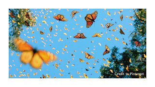 Download lagu Rizky Febian & Adrian Khalif - Alamak (1 Hour) mp3 Download lagu Rizky Febian & Adrian Khalif - Alamak (1 Hour) mp3