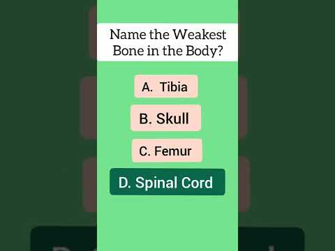 Name the Weakest Bone in the Body? #shorts #wikishorts #human #science #sciencefacts #anatomy