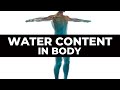 WATER CONTENT IN HUMAN BODY ROLE OF WATER