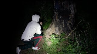 he begged the devil for his soul back... (devils tree)