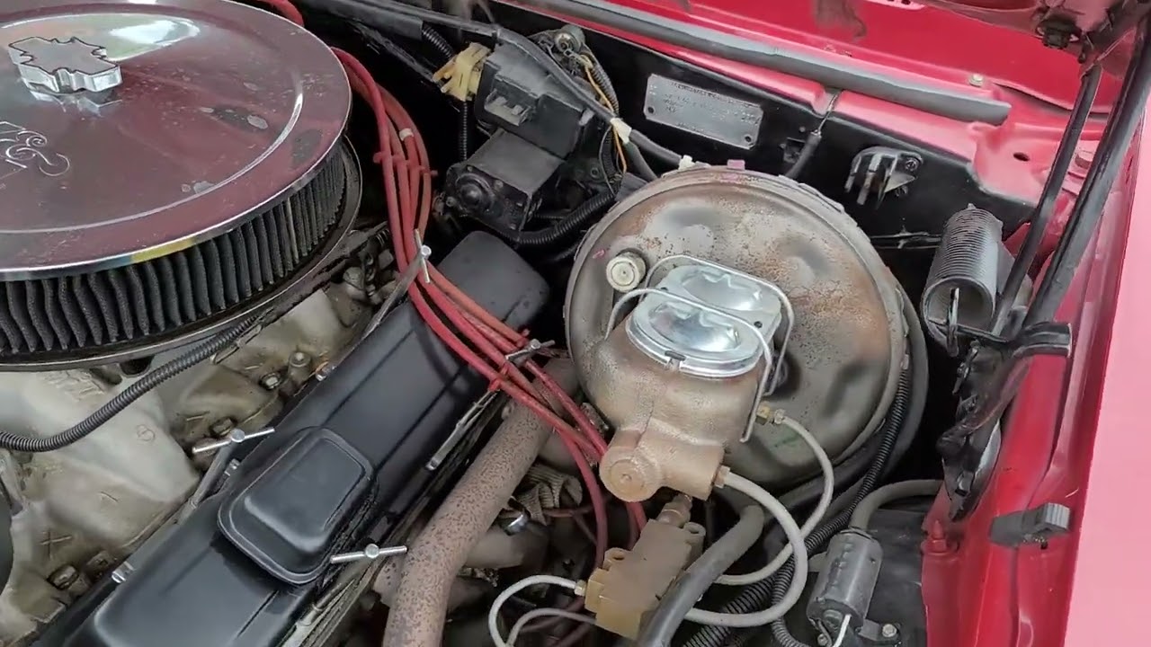 1967 Chevrolet Camaro SS Tribute