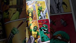 Tartarugas Ninja #tmnt #tartarugasninja #pipocaenanquim #hq