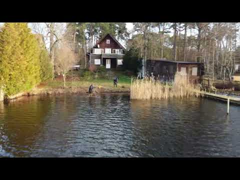 Schilfentfernung durch die Teichprofis