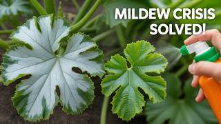 Powdery Mildew Spreading Fast? Do This Now