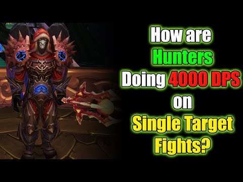 How Some Hunters Are Doing INSANE DPS on Single Target!! Hacks?