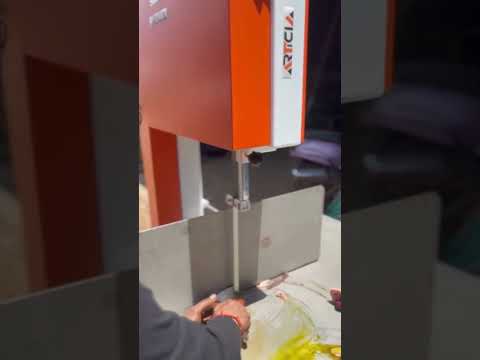 Articia frozen fish cutting machine, 3 hp