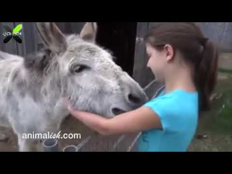 Трогательная встреча после долгого расставания