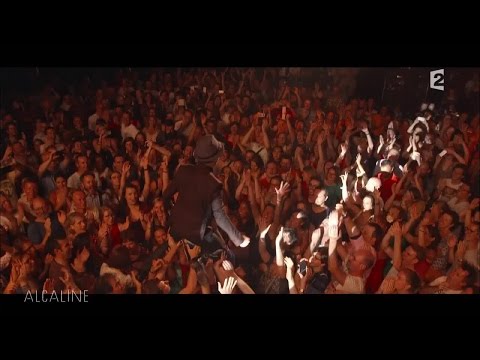 Alcaline, le concert - Dionysos
