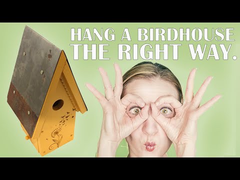 YouTube video about: How to hang a williamsburg bird bottle?