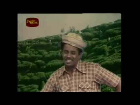 download lagu mp3 mp4 The Kudaya Pite Badan, download lagu The Kudaya Pite Badan gratis, unduh video klip The Kudaya Pite Badan