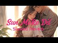 Sun MeRe Dil Song By Lofi Slowed And Reverb Video Song