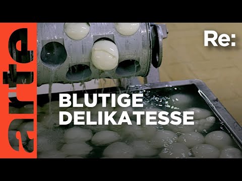 Video Thumbnail: Büffelmozzarella aus Italien | ARTE Re: Reupload