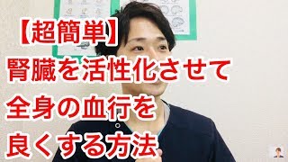 【超簡単】腎臓を活性化させて、全身の血行を良くする方法
