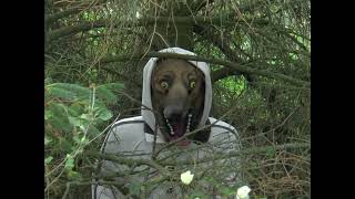 A Wolf Who Wears Sheeps Clothes - Mac DeMarco (unofficial video)