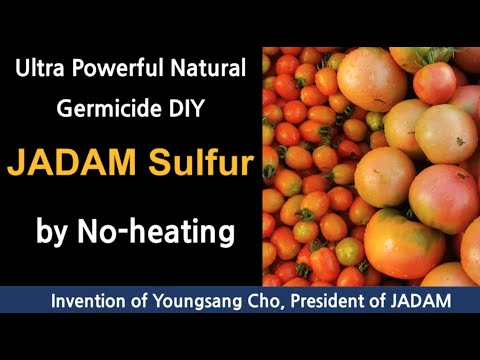 Melt Sulfur without Fire! Powerful DIY Organic Fungicide (JADAM Sulfur)