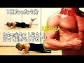 1日たった4分 自宅で出来る上半身トレーニング 脂肪燃焼+自重追い込み