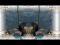 Saints Row The Third: Teach Me How To Jerk ...
