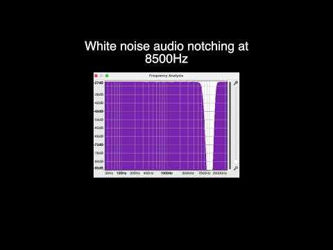 Audio Notched White Noise Sampler in the Treatment for Tinnitus: 1000 Hz to 10,000 Hz