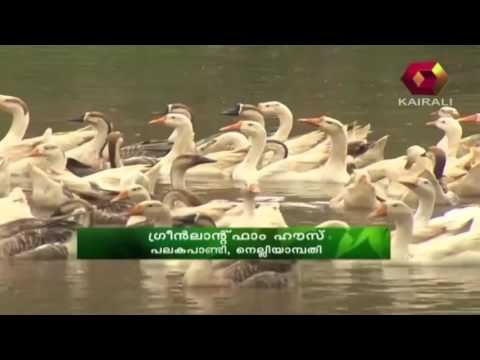 Bhoomigeetham | 17th October 2015 | Full Episode