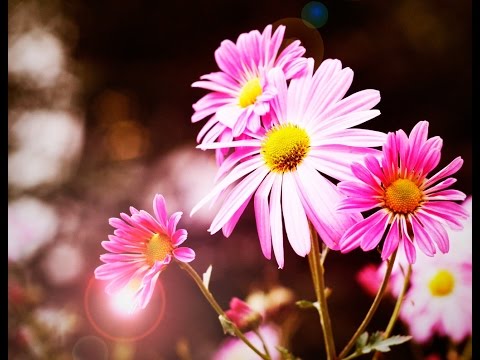 Jonatan  Järpehag - Colaj Relaxing Music, Emotional Song