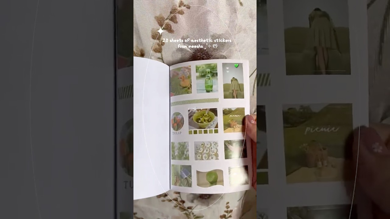 Aesthetic sticker book for ₹129🍀₊˚⊹♡ #shorts #foryou #explore #minivlog #subscribers #asmr #vlog