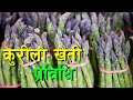 कुरीलो खेतीबारे जानकारी Kurilo Kheti In Nepal