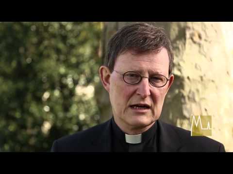 Wort des Bischofs  - Ein Traum von einem Baum ... (5. Juli 2015)