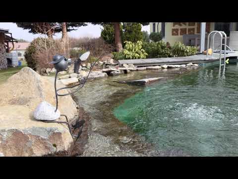 ASUS ROG Phone 5: camera test (8K, 30 fps)