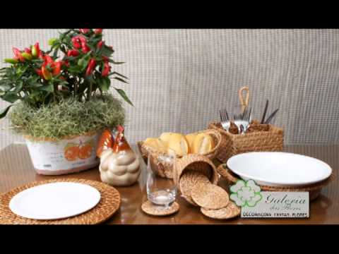 Programa Neusa Bighetti exibido no dia 29/04/2012 - Galeria das Flores