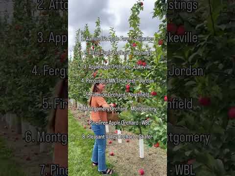 8 best apple orchards to visit in Minnesota this fall! 🍁 🍎 - Stillwater 🍎 - Hastings 🍎 -