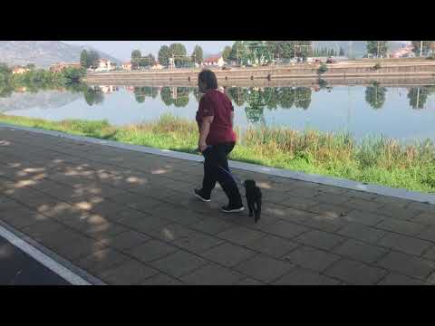 Saša Žderić u šetnji s Nerom