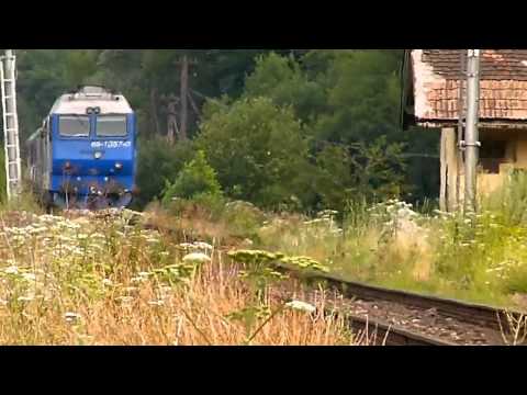 Trenuri / Trains in Bulz (Bihor County) (22 07 2012)