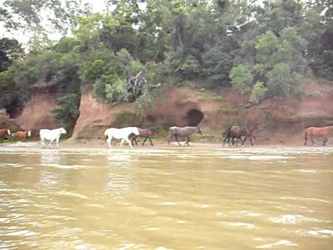 Naturaleza desde el Kayak