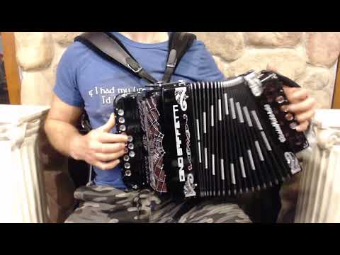 DINOART41CB -  Black Dino Baffetti Art. 41 Luxe Organetto Diatonic Button Accordion C LMM 12 4 $1999
