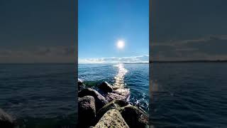 Download lagu Majnu bgm mp3 Download lagu Majnu bgm mp3