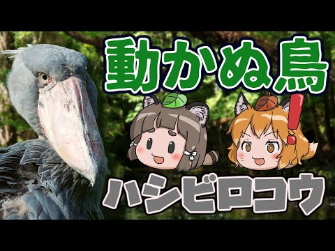 IUCN分類における絶滅の危険性を示す図。
