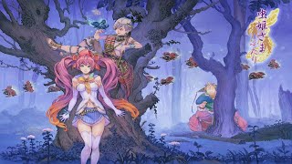 Danmaku Bullet Hell Shooters