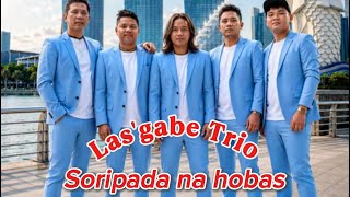 Download lagu Las'gabe trio~Soripada na hobas mp3