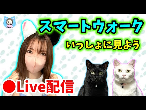 ドラクエウォーク最新情報！ドラクエの日の新武器とは？