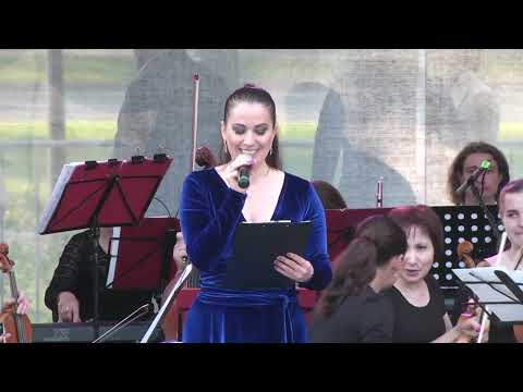 Анастасия Раинская и Дмитрий Нестеров - ведущие концерта "Верни мне музыку".