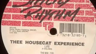 Thee Housecat Experience ‎- Life (The Mix)