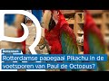 Rotterdamse papegaai Pikachu voorspelt uitslag Songfestival