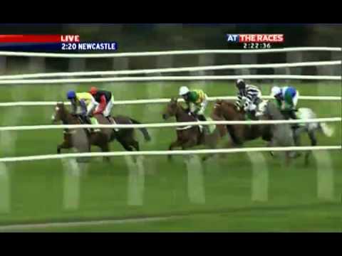 Fighting Fifth Hurdle 2011