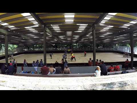 2018-07-08 Spreewölfe Berlin III - Polarstern Potsdam 4:2