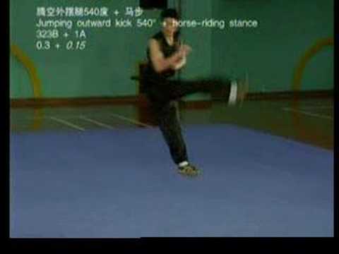 Optional Taolu for Nan Quan